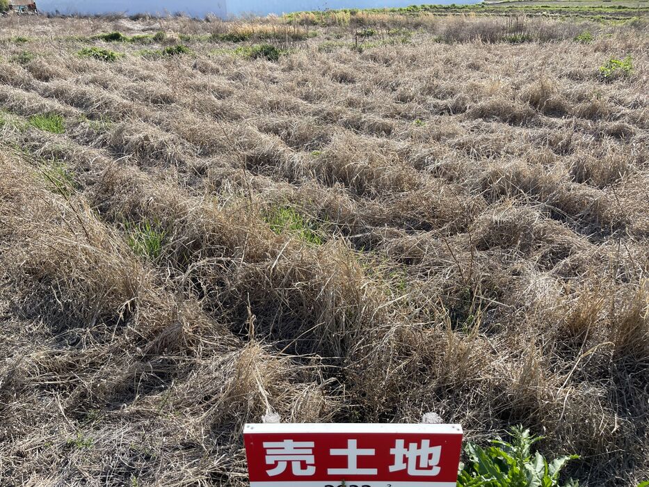 画像1431